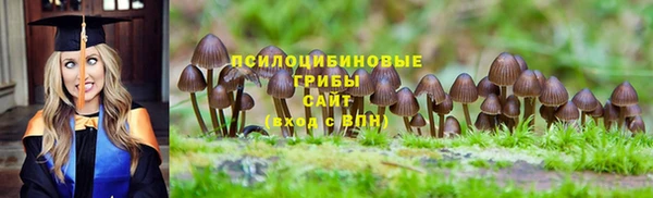 хмурый Кулебаки