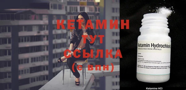 прущие грибы Кукмор