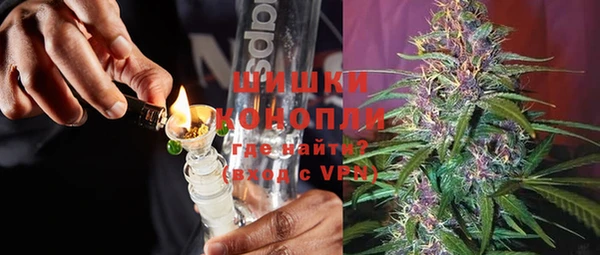 прущие грибы Кукмор